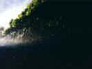 Wasserfall_LaPalma.jpg (194180 Byte)