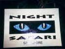 NightSafari.jpg (29246 Byte)